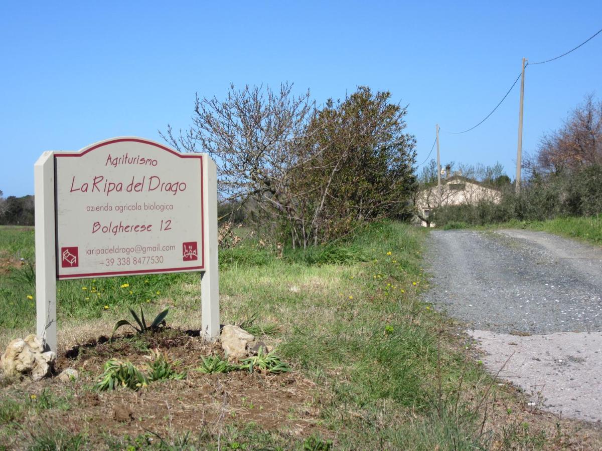 La Ripa Del Drago Villa Bibbona Eksteriør billede